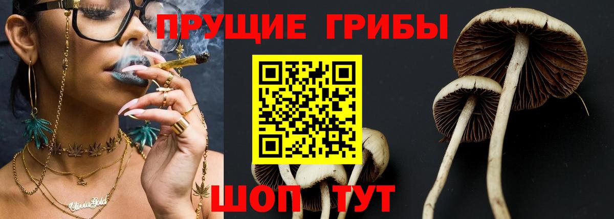 Псилоцибиновые грибы Cubensis Анжеро-Судженск