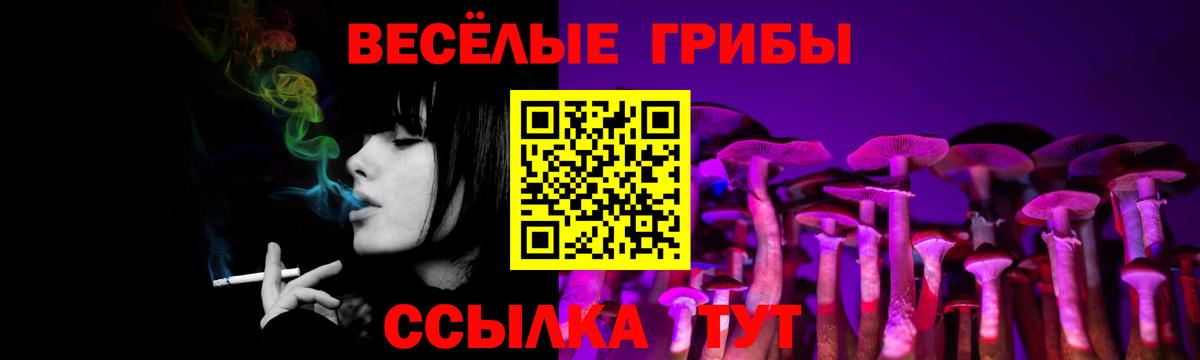 Псилоцибиновые грибы Psilocybe  Галлюциногенные грибы MAGIC MUSHROOMS  Анжеро-Судженск  Вход с VPN 