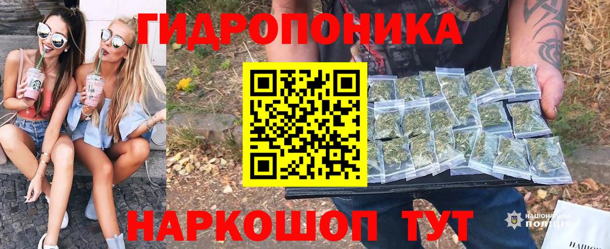 Шишки марихуана план  Вход с VPN  Шишки марихуана VHQ  Анжеро-Судженск  Бошки Шишки сатива 